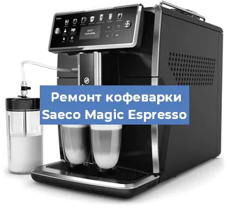Чистка кофемашины Saeco Magic Espresso от кофейных масел в Перми